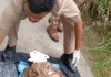 नहर किनारे मिला अज्ञात शव:कटका थाना क्षेत्र के हरसिंहपुर चकिया में पुलिस जांच में जुटी