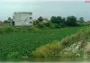 तमसा की अंतिम सांसें: जलकुंभी का कहर, गंदगी का तांडव