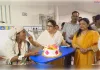 जिलाधिकारी ने मेडिकल कॉलेज जिला अस्पताल में मनाया कन्या जन्मोत्सव