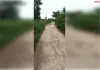 मुख्यमंत्री जी तीन साल में उखड़ गई डामर सड़क