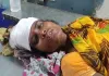 बंदरों के आतंक से ग्रामीणों में दहशत, महिला को छत से धक्का देकर किया घायल, छपरा रेफर 