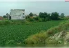 जलकुंभी गंदगी से पटी हुई तमसा ले रही अन्तिम सांसे, जिम्मेदार मौन 