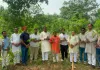 विश्व पर्यावरण दिवस पर दुद्धी विकास खंड में हजारों पौधे  किये गये रोपड़ 