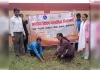 समेकित विद्यालय मेजा में हरितिमा वृक्षारोपण ।100 उपयोगी पौधों का रोपण।