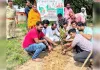 "एक पेड़ मां के नाम" अभियान के तहत भाजपा नेताओं में किया गया वृक्षारोपण