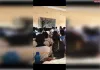 एनसीसी कैडेटों ने लिया सैन्य प्रशिक्षण एवं आधुनिक तकनीक का अनुभव
