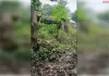 विकासखंड भदपुरा में आवासीय कॉलोनी पड़ी खंडहर 