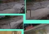 नगर बाजार–कप्तानगंज संपर्क मार्ग बदहाल, गड्ढों और कीचड़ से राहगीरों का चलना हुआ मुश्किल