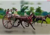 सावन के दूसरे सोमवार पर ऐतिहासिक 'गहरेबाजी'