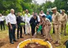 स्वतंत्रता दिवस पर कलेक्ट्रेट परिसर में गूंजा पर्यावरण संरक्षण का संदेश, एक पेड़ मां के नाम अभियान के तहत किया गया पौधरोपण