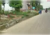 डीएम के आदेशों को ठेंगा दिखा रही अकबरपुर नगर पालिका, शहर में गंदगी और झाड़ियों का बोलबाला