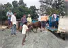 बाढ़ को देखते हुए सीखड़ गौ आश्रय केंद्र से पशुओं को निकाल कर सुरक्षित स्थान पर भेजा गया।