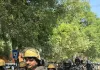 नवरात्र के दृष्टिगत शांति, सुरक्षा एवं कानून व्यवस्था बनाये रखने हेतु थाना बाजार शुक्ल पुलिस द्वारा थानाक्षेत्र में पुलिस बल के साथ फ्लैग मार्च किया गया