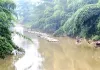 श्रीभूमि जिले के चेरागी रेंज में लंबे समय से खुलेआम बांस तस्करी का आरोप, वनकर्मियों की भूमिका पर उठे सवाल