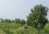 बर्डपुर ब्लाक में  वीबी - जी राम जी योजना में कथित अनियमितता की शिकायत, जांच की मांग