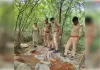 आबकारी विभाग की छापेमारी, 44 लीटर अवैध कच्ची शराब बरामद