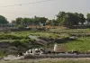 रेंजर बोले- भूमि खाली कराकर बड़े पैमाने पर कराया जाए पौधरोपण