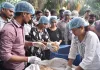 युवाओं के रोजगार का बेहतर विकल्प है मशरूम उत्पादन-, संयुक्त निदेशक, उद्यान
