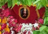 शारदीय नवरात्र के दूसरे दिन मां शीतला के दरबार में उमड़ी भक्तों की भीड़।