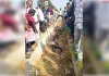 डिवाइडर से टकराकर नाले में गिरी बाइक, तीन युवकों की मौत
