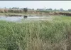 ग्राम पंचायत छरदही  में मनरेगा के अंतर्गत तालाब खुदाई एवं सफाई कार्य में संभावित अनियमितता 