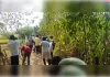 नरहरपुर में चकमार्ग पर मिट्टी पटाई का कार्य जारी, मौके पर पहुंचे मीडिया कर्मियों ने मजदूरों को काम करते देखा