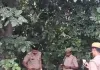 पेड़ से लटकता मिला 45 वर्षीय व्यक्ति का शव, इलाके में सनसनी