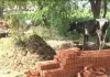 विद्यालय निर्माण में घटिया सामग्री के इस्तेमाल का आरोप, जांच की मांग