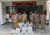 चोपन पुलिस एवं एसओजी टीम की बड़ी कार्रवाई, 52 किलो 745 ग्राम अवैध गांजा के साथ 03 अभियुक्त गिरफ्तार