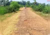 वर्षों से जर्जर चीरुडीह-रसिया टोला सड़क की सुध नहीं, ग्रामीणों में आक्रोश
