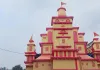 कास के खिले फूल दे रहे मां के आगमन का संदेश, दुर्गा पूजा को लेकर पाकुड़िया में उमंग