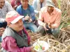 गन्ना मूल्य न बढ़ाए जाने पर दिव्यांग सपा नेता ने इस तरह जताया विरोध भाजपा सरकार है किसान विरोधी 