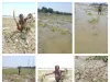 असमय बढ़े गंगा के जलस्तर ने क्षेत्रीय किसानों की फसलों को बुरी तरह से बर्बाद कर दिया है