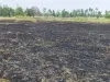 शॉर्ट सर्किट से लगी आग लगभग 16 बीघे गेंहू की फसल जलकर हुई राख।
