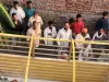 कुशीनगर : आतंक का प्रयाय बना खच्चर को रेस्क्यू टीम ने पकड़ वन विभाग को सौपा