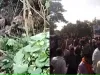 बाघ न पकड़े जाने से आक्रोशित ग्रामीणों ने लगाया जाम, अफसरों ने बदला वनमंत्री का रूट