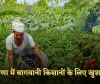 Haryana: हरियाणा में बागवानी किसानों के लिए खुशखबरी, सरकार दे रही इतनी सब्सिडी 