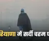 Haryana Weather: हरियाणा में सर्दी चरम पर, तापमान सामान्य से 3.4°C नीचे