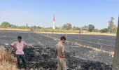शॉर्ट-सर्किट से गेहूं के खेतों में लगी आग, तीन किसानों की 16 बीघे खड़ी फसल जलकर हुई राख