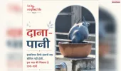 इंसानियत सिर्फ इंसानों तक सीमित नहीं होती.. इस की मिसाल है पहल 'दाना-पानी'