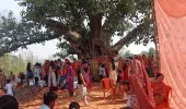 अखंड सौभाग्यवती, पति की लंबी आयु व उत्तम स्वास्थ्य को लेकर सनातनी महिलाओं ने वट सावित्री व्रत का किया पूजन