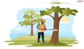 उद्योगपतियों का बोल बाला हरियाली पर चल रही आरा
