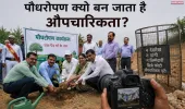 रस्मअदायगी नहीं, जिम्मेदारी: भीषण गर्मी में पौधारोपण क्यों बन जाता है औपचारिकता?