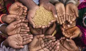 भुखमरी के खिलाफ आखिर कब जंग जीतेगी दुनिया?