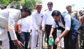 वृहद पौधरोपण के साथ ‘एक पेड़ मां के नाम’ अभियान की शुरुआत