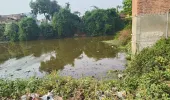 सोनहटी बुजुर्ग में पानी और जलकुंभी के बीच चल रहा मनरेगा कार्य प्रधान सचिन और वीडियो की मिले भगत से