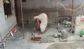 सुल्तानपुर निवासी 90 वर्ष से अधिक आयु की बुजुर्ग मां पुरबिन आज भी हर काम से नहीं हटती पीछे