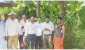 कुशीनगर: रेलवे लाइन में आने वाले पेड़ों का सर्वे पूरा, किसानों के मुआवजे की राह हुई आसान!