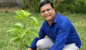 पेड़ लगाइए जरूर, मगर पेड़ बचाइए — शिक्षक डॉ. तारकेश्वर मिश्र 'जिज्ञासु'