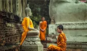 श्रुतधाम : ज्ञान, साधना और संस्कृति का जीवंत तीर्थ
